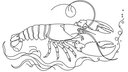 Fototapeta premium Lobster on white background.