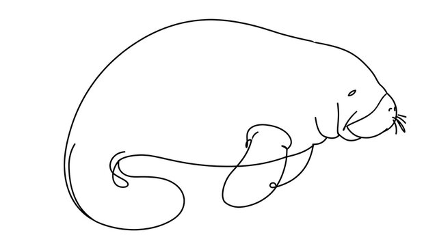 otter white background.