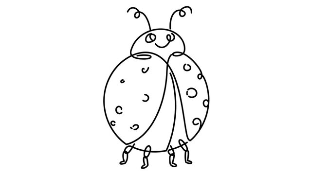 Ladybug on white background.