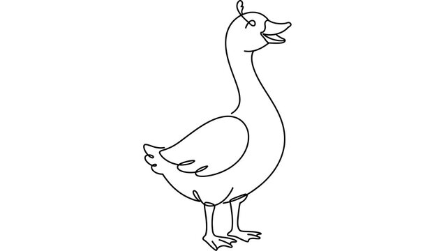 Goose standing on white background.