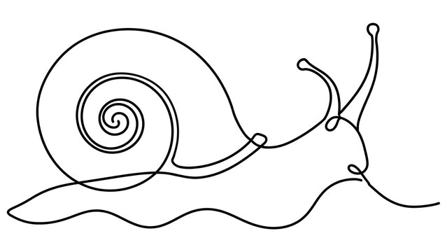 Snail white background simple line art.