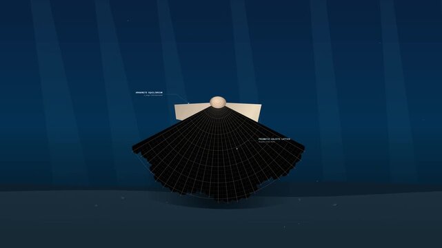 Animated motion graphic explaining ocean acidification and its effect on marine life, showing the structural collapse of a calcifying organism in dark underwater environment