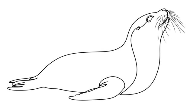 Seal on white background.
