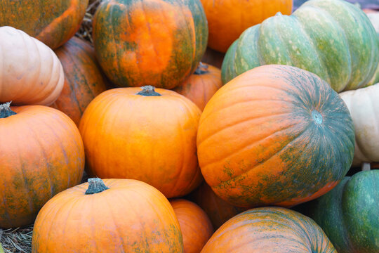 Orange and green pumpkins displayed on hay bales at an autumn harvest festival. Rustic seasonal scene with colorful squash and gourds, perfect for fall and Thanksgiving themes.