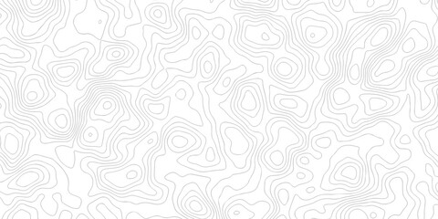 Abstract grid landscape topography white background. white and black relief line wireframe isoline location diagram world map texture design.   © MOHAMMAD
