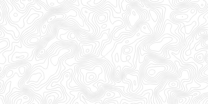 Abstract grid landscape topography white background. white and black relief line wireframe isoline location diagram world map texture design.	
