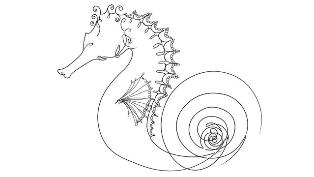 Seahorse drawing white background.