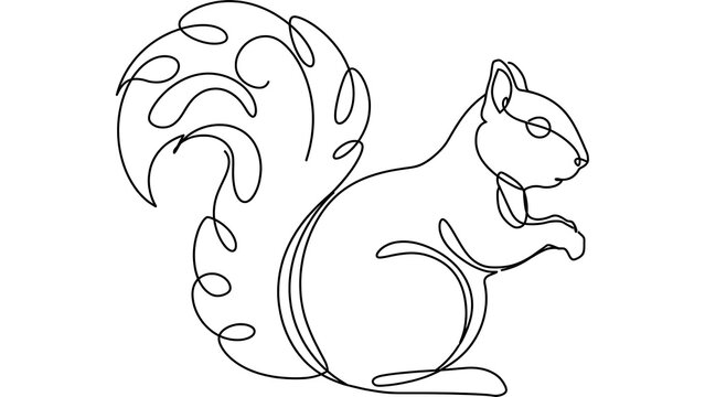 Squirrel illustration on white background.