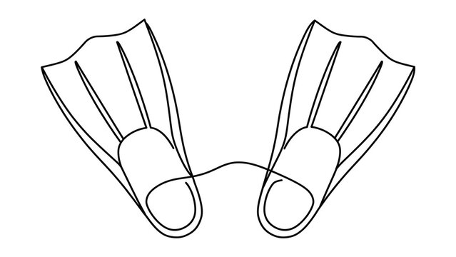 flippers white background.