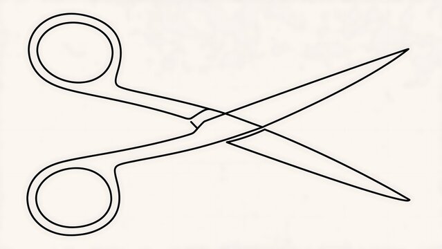 Scissors white background.