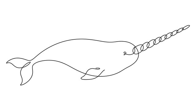 Narwhal drawing on white background.