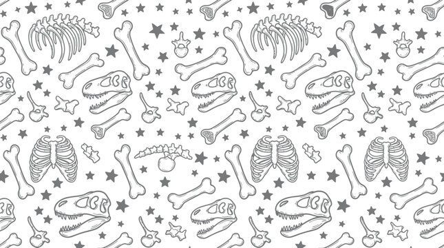 Dinosaur skeleton pattern