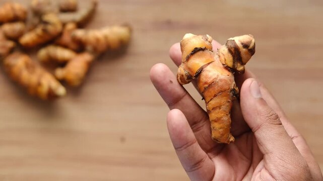 Close up of a hand holding raw turmeric root over a wooden table with more turmeric roots in the blurred background