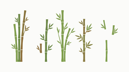 Obraz premium Minimal Bamboo Stems and Plants Botanical Collection