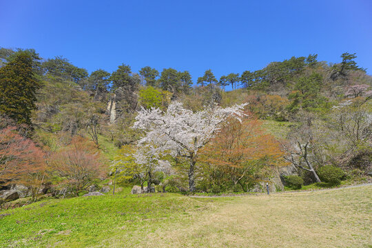 きみまち阪県立自然公園