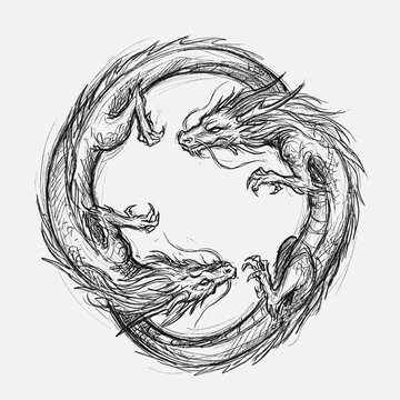 Vintage dragon circle sketch illustration