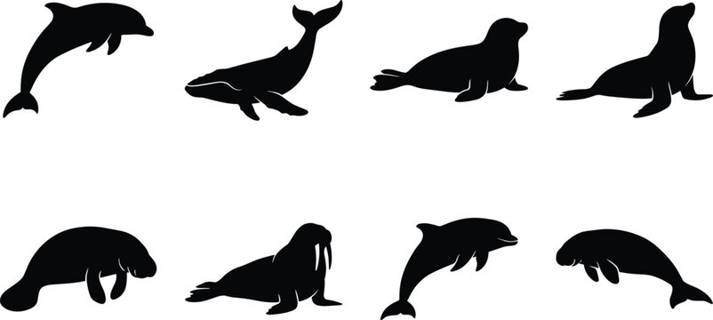 Collection of vector black marine mammal silhouettes featuring dolphin whale seal walrus and manatee isolated on white background