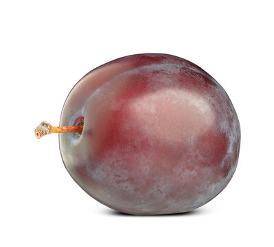purple Damson plum