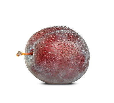 purple Damson plum