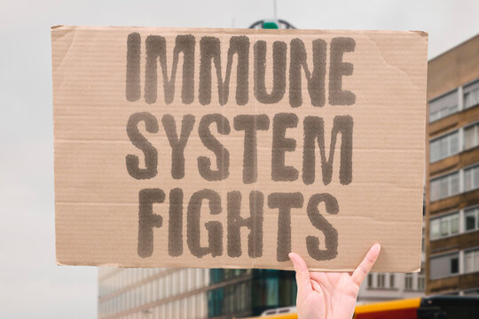 "Immune system fights" Cellular and humoral defense mechanisms combat viral infection. IMMUNOLOGY. DEFENSE. MECHANISM. IMMUNE. RESPONSE.