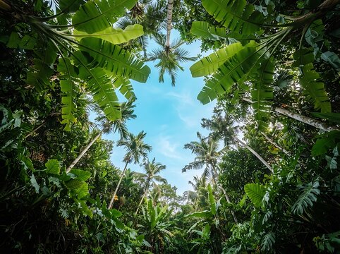 Looking up at the tropical canopy of palm trees against a bright blue sky.