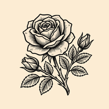 vintage-blooming-rose-art.eps