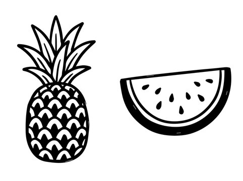Black and white line art vector illustration of a pineapple and a watermelon slice