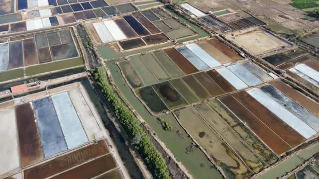 Aerial View of Colorful Geometric Salt Evaporation Ponds and Aquaculture Farms Separated by a Tree Line