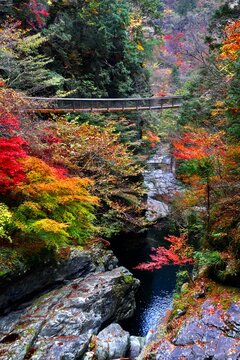 みたらい渓谷・紅葉（奈良県・天川村）