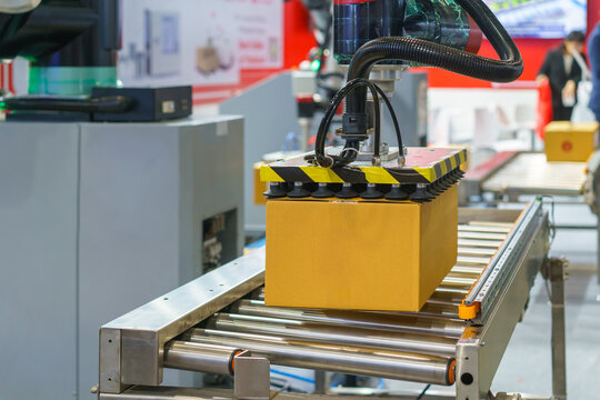 Robotic Arm Lifting Cardboard Box on Roller Conveyor