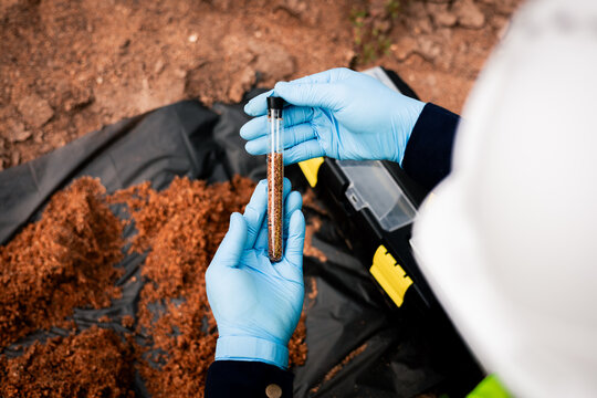 Field scientist examining a soil specimen in a test tube for chemical quality and research testing.