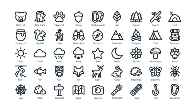 Collection of Minimalist Line Icons Representing Nature Camping Forest Wildlife and Outdoor Adventure Essentials