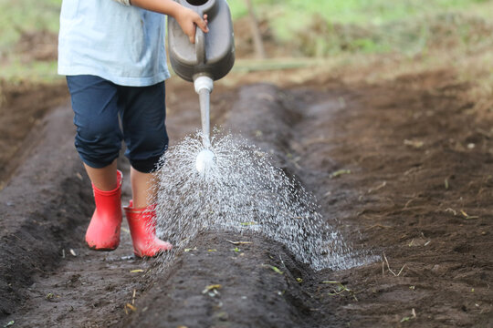 畑の水やりをする男の子