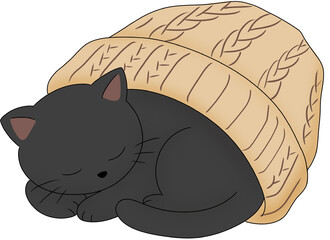 A cute black cat with activities  © Ritchi-1992