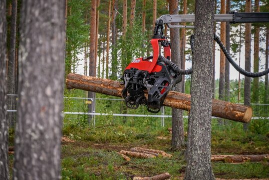 Logging Timber Harvesting  Forest Machine