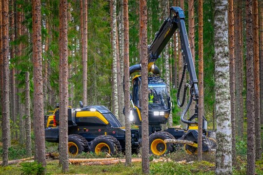 Logging Timber Harvesting  Forest Machine