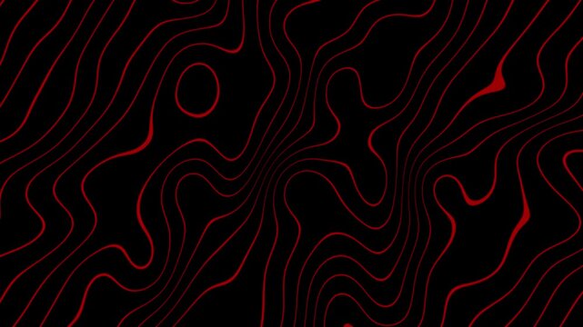 dark red organic wavy line structure, red topographic lines moving background loop on black isolated.