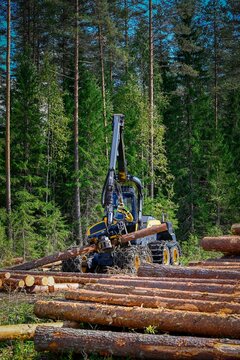 Logging Timber Harvesting  Forest Machine
