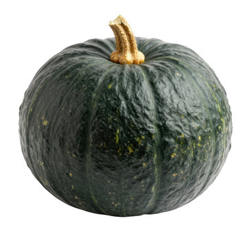 Single ripe kabocha squash with green skin white background vegetable
