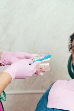 Dentist demonstrating oral hygiene with teeth jaw