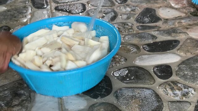 An Asian man is washing cassava (Manihot esculenta) under running water to remove residual dirt before cooking.