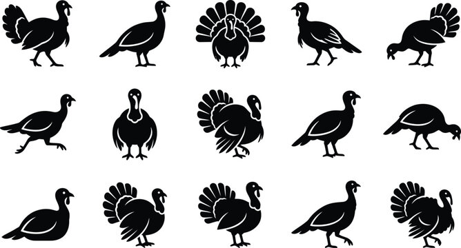Thanksgiving turkey bird black silhouette vector icon set in various poses