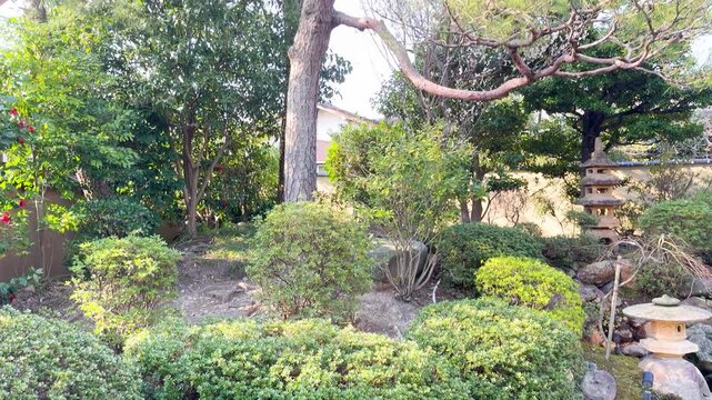A serene japanese garden with a tranquil pond and carefully pruned trees, a beautiful and historic landscape in motion.