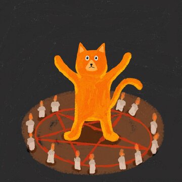 evil cat