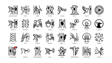 Obraz premium Black And White Woodpecker Behavior And Habitat Icon Set With Transparent Background Featuring Various Actions And Concepts