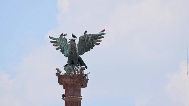 Republican Eagle Statue Perching Iron Column Plaza De La Patria Aguascalientes