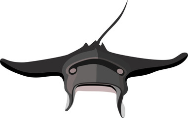 Stingray Marine Animal Vector... © Agus Sulistiyono