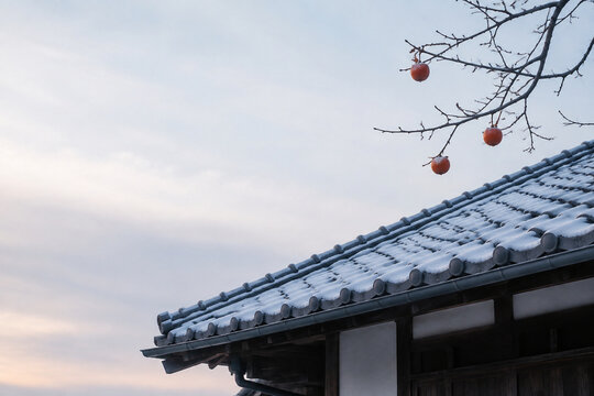 Snow Lined Japanese Tile Roof With Bare Persimmon Branch