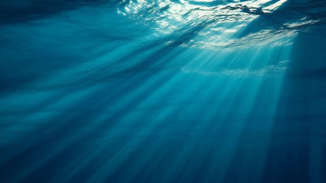 水中から見上げた水面を透かして降り注ぐ太陽の光条