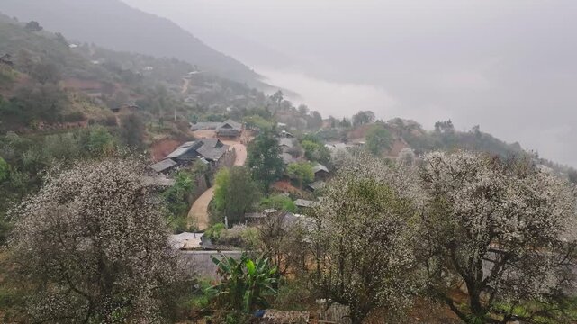 Blooming Wild Apple Trees Frame a Misty Highland Village in Nam Nghiep, Son La, Northwest Vietnam During the Spring Season